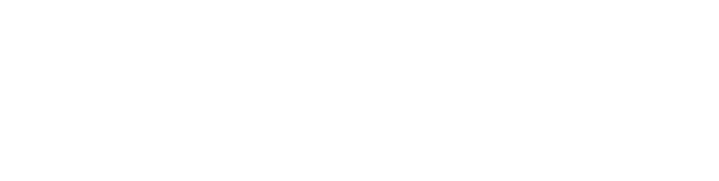 Bigiz Logo